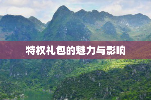 特权礼包的魅力与影响