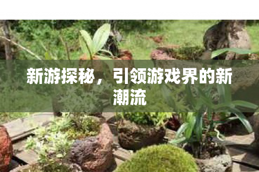 新游探秘,引领游戏界的新潮流 新游探秘,引领游戏界的新潮流