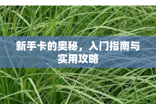 新手卡的奥秘,入门指南与实用攻略 新手卡的奥秘,入门指南与实用攻略