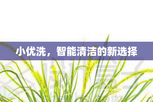小优洗,智能清洁的新选择 小优洗,智能清洁的新选择