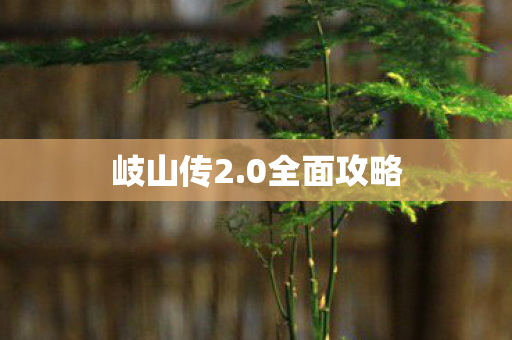 岐山传2.0全面攻略 岐山传2.0全面攻略