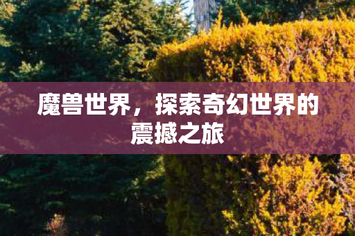 魔兽世界,探索奇幻世界的震撼之旅 魔兽世界,探索奇幻世界的震撼之旅