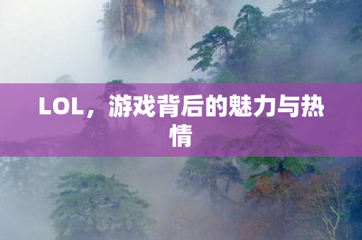 LOL，游戏背后的魅力与热情