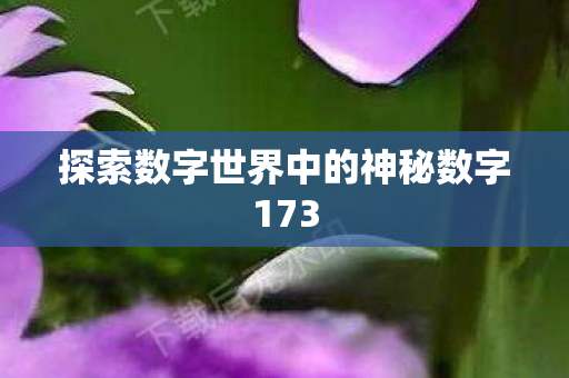 探索数字世界中的神秘数字173 探索数字世界中的神秘数字173