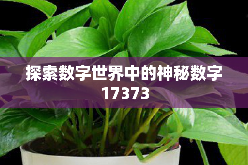 探索数字世界中的神秘数字17373 探索数字世界中的神秘数字17373