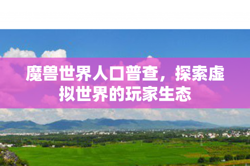 魔兽世界人口普查,探索虚拟世界的玩家生态 魔兽世界人口普查,探索虚拟世界的玩家生态