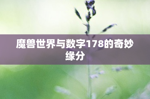 魔兽世界与数字178的奇妙缘分