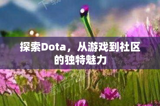 探索Dota，从游戏到社区的独特魅力