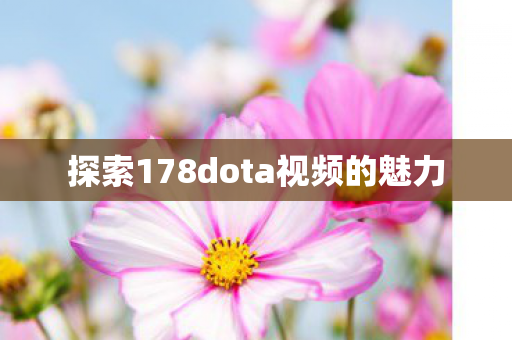 探索178dota视频的魅力