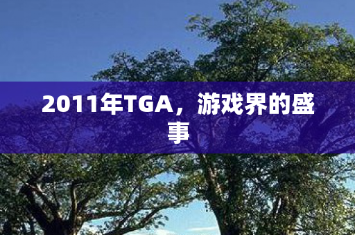 2011年TGA,游戏界的盛事 2011年TGA,游戏界的盛事