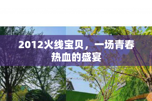 2012火线宝贝,一场青春热血的盛宴 2012火线宝贝,一场青春热血的盛宴