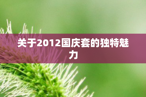 关于2012国庆套的独特魅力