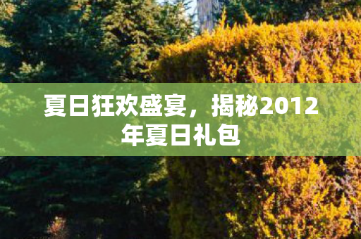 夏日狂欢盛宴，揭秘2012年夏日礼包