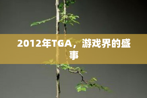 2012年TGA，游戏界的盛事