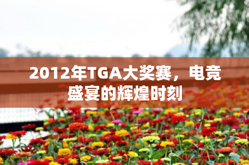 2012年TGA大奖赛，电竞盛宴的辉煌时刻