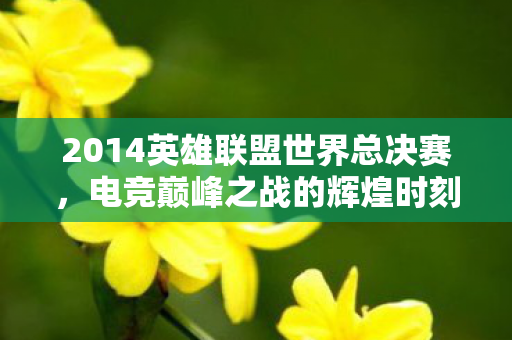 2014英雄联盟世界总决赛,电竞巅峰之战的辉煌时刻 2014英雄联盟世界总决赛,电竞巅峰之战的辉煌时刻