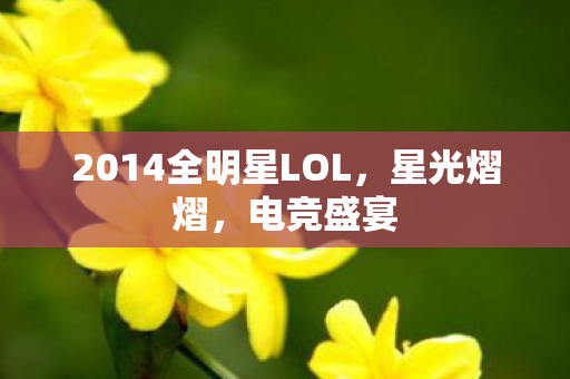 2014全明星LOL，星光熠熠，电竞盛宴