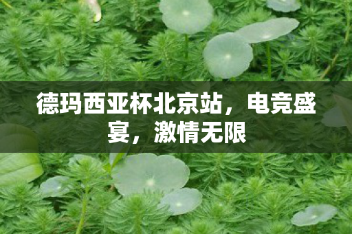 德玛西亚杯北京站，电竞盛宴，激情无限