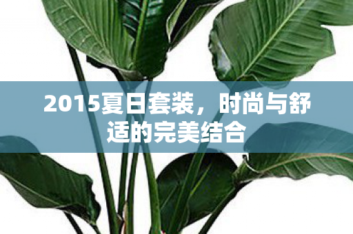 2015夏日套装,时尚与舒适的完美结合 2015夏日套装,时尚与舒适的完美结合