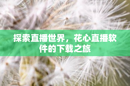 探索直播世界,花心直播软件的下载之旅 探索直播世界,花心直播软件的下载之旅