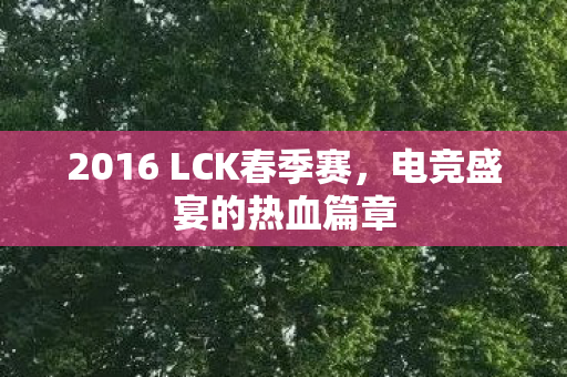 2016 LCK春季赛,电竞盛宴的热血篇章 2016 LCK春季赛,电竞盛宴的热血篇章