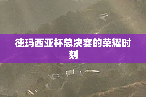 德玛西亚杯总决赛的荣耀时刻