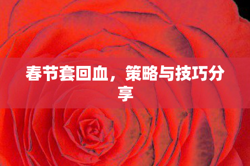 春节套回血,策略与技巧分享 春节套回血,策略与技巧分享