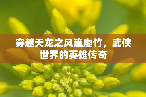 穿越天龙之风流虚竹,武侠世界的英雄传奇 穿越天龙之风流虚竹,武侠世界的英雄传奇