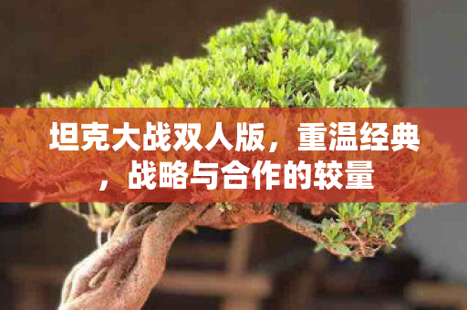 坦克大战双人版,重温经典,战略与合作的较量 坦克大战双人版,重温经典,战略与合作的较量