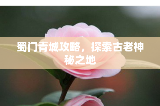 蜀门青城攻略,探索古老神秘之地 蜀门青城攻略,探索古老神秘之地