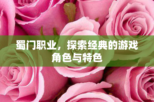 蜀门职业,探索经典的游戏角色与特色 蜀门职业,探索经典的游戏角色与特色