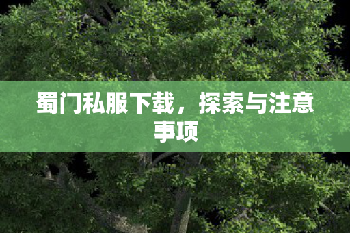 蜀门私服下载,探索与注意事项 蜀门私服下载,探索与注意事项