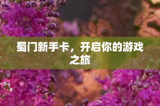 蜀门新手卡，开启你的游戏之旅