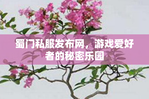 蜀门私服发布网,游戏爱好者的秘密乐园 蜀门私服发布网,游戏爱好者的秘密乐园