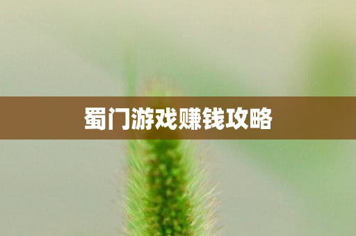 蜀门游戏赚钱攻略 蜀门游戏赚钱攻略