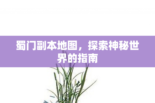 蜀门副本地图,探索神秘世界的指南 蜀门副本地图,探索神秘世界的指南