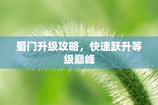 蜀门升级攻略，快速跃升等级巅峰