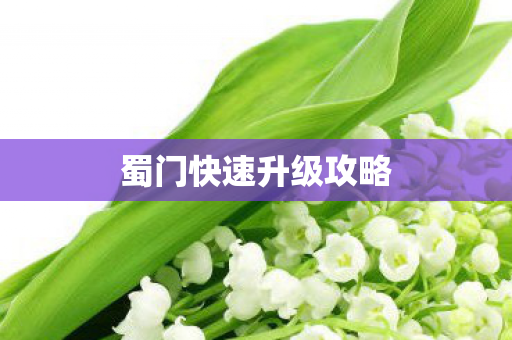 蜀门快速升级攻略 蜀门快速升级攻略