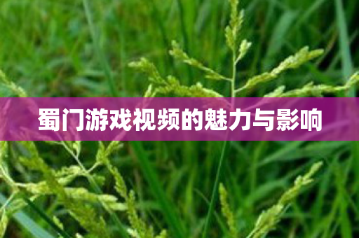 蜀门游戏视频的魅力与影响 蜀门游戏视频的魅力与影响