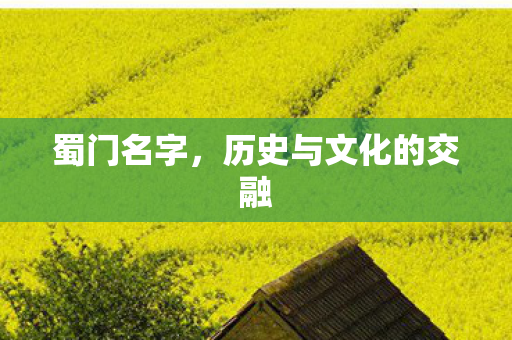 蜀门名字,历史与文化的交融 蜀门名字,历史与文化的交融