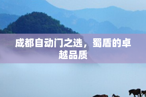 成都自动门之选，蜀盾的卓越品质
