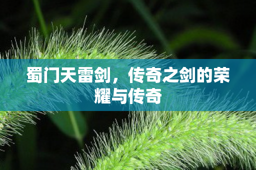 蜀门天雷剑，传奇之剑的荣耀与传奇