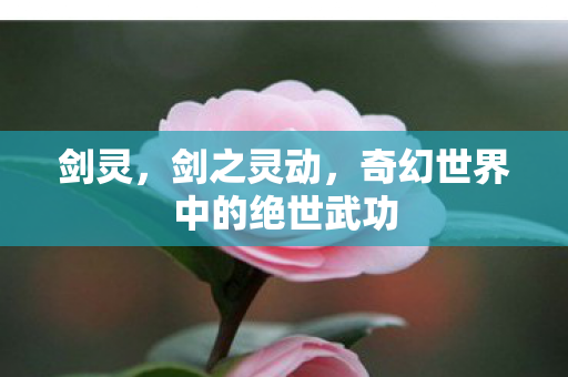 剑灵,剑之灵动,奇幻世界中的绝世武功 剑灵,剑之灵动,奇幻世界中的绝世武功