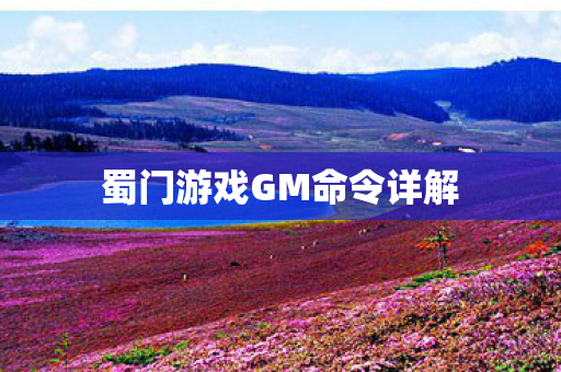 蜀门游戏GM命令详解 蜀门游戏GM命令详解