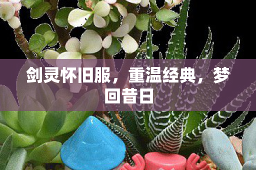 剑灵怀旧服,重温经典,梦回昔日 剑灵怀旧服,重温经典,梦回昔日