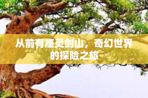 从前有座灵剑山,奇幻世界的探险之旅 从前有座灵剑山,奇幻世界的探险之旅