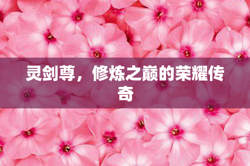 灵剑尊,修炼之巅的荣耀传奇 灵剑尊,修炼之巅的荣耀传奇