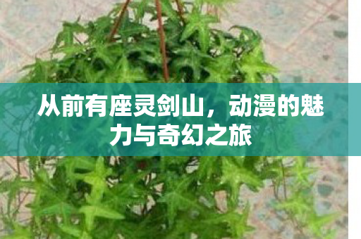 从前有座灵剑山，动漫的魅力与奇幻之旅