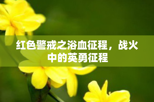 红色警戒之浴血征程,战火中的英勇征程 红色警戒之浴血征程,战火中的英勇征程