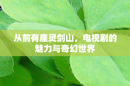 从前有座灵剑山,电视剧的魅力与奇幻世界 从前有座灵剑山,电视剧的魅力与奇幻世界